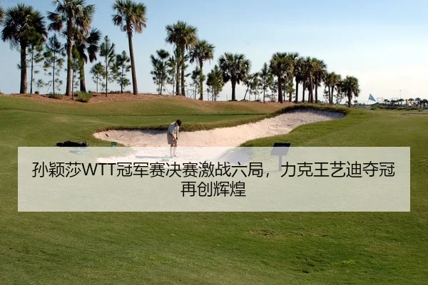 孙颖莎WTT冠军赛决赛激战六局，力克王艺迪夺冠再创辉煌